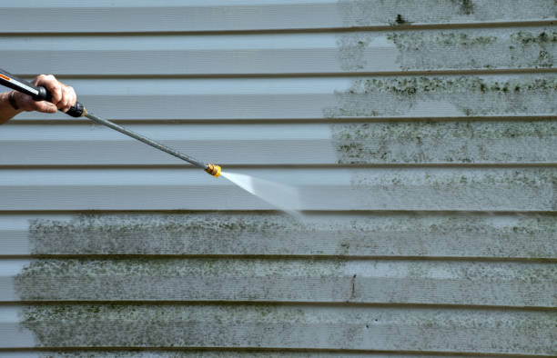 Best Sidewalk and Walkway Cleaning  in Benton, KY